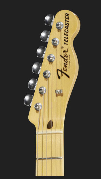 Fender Telecaster Blue Paisley Bigsby